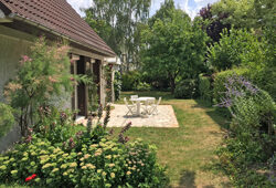 Jardin Ete Tamaris Sedum Acanthe Perovskia Mioulane NewsJardinTV Jardimiou IMG 5613