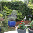 Jardin MiouMious NewsJardinTV NPM 2507527554
