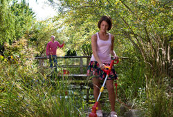 Jardinage Outils Wolf