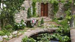 Jardinet patio Bassin Mioulane NewsJardinTV NPM 2607523776