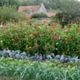 Potager Miromesnil Mioulane NewsJardinTV NPM 2607521591