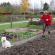 Bechage Potager Mioulane NewsJardinTV Jardimiou P1030457