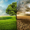 Changement Climatique DR