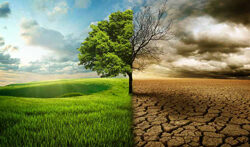 Changement Climatique DR
