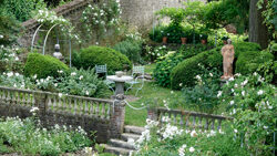 Jardin BLanc LeSidaner Gerberoy Mioulane NewsJardinTV Jardimiou DSC7636