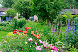 Jardin Massif Papaver Delphinium Andre VanBeek Mioulane NewsJardinTV Jardimiou NPM 914375634