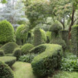 Jardin Topiaire Sericourt Mioulane Jardimiou NewsJardinTV NPM 2507526125