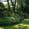 Plantes Climatiseurs NaturelMioulane NewsjardinTV Jardimiou NPM 84811057