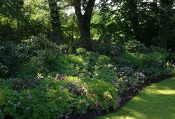 Plantes Climatiseurs NaturelMioulane NewsjardinTV Jardimiou NPM 84811057