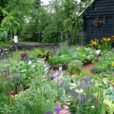 Potager Fleuri Mioulane NewsJardinTV Jardimiou NPM 84971079