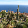 Jardin Cactus Eze Mioulane NewsjardinTV Jardimiou NPM 2307517888