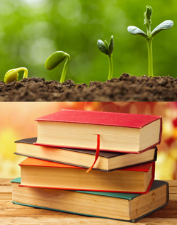 Graine de livre NewsJardinTV