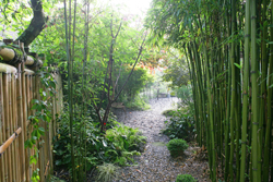 Sentier Ardoise Mioulane NewsJardinTV Jardimiou NPM 84917229