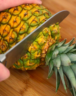 Bouturage ananas Couronne Feuilles Flora