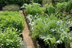 Potager Mioulane NewsJardinTV Jardimiou NPM 850312359