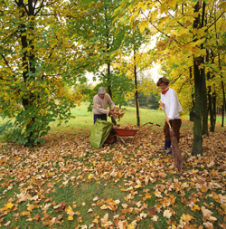 Ramassage Feuilles automne Mioulane NewsJardinTV Jardimiou NPM GIP0071180