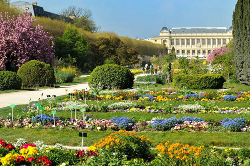 jardin plantes Paris Mnhn