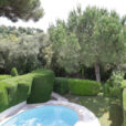 Cypres Piscine Haie Mioulane NewsJardinTV Jardimiou XY7S7094