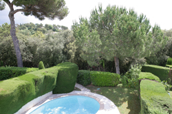 Cypres Piscine Haie Mioulane NewsJardinTV Jardimiou XY7S7094