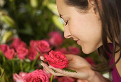 Parfum Rose Flora