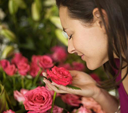 Parfum Rose Flora