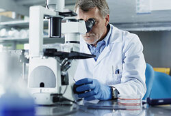 Science Recherche DR