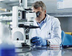 Science Recherche DR