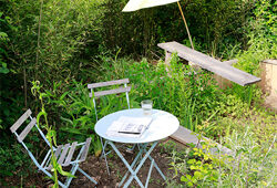 Jardin Friche Mioulane NewsJardinTV Jardimiou NPM 9143743054