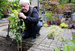 Plantation Clematite Mioulane NewsJardinTV Jardimiou NPM 914372386