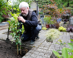Plantation Clematite Mioulane NewsJardinTV Jardimiou NPM 914372386