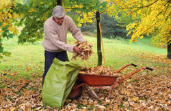 Ramassage Feuilles automne Mioulane NewsJardinTV Jardimiou NPM GIP0081113