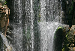 Cascade Bassin Mioulane NewsJardixnTV Jardimiou NPM 84954023