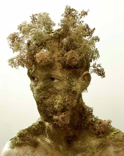 Homme plante Lollitop