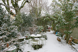 Jardin Hiver Neige Mioulane NewsJardinTV NPM 2607524330