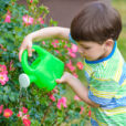 Enfant arrosage Rosier Flora
