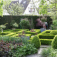Jardin Bordure Buis Mioulane NewsJardinTV Jardimiou NPM 84940158