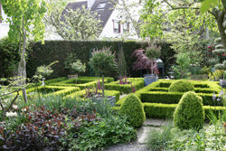 Jardin Bordure Buis Mioulane NewsJardinTV Jardimiou NPM 84940158