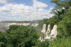 Nature Iguacu Bresil Mioulane NewsJardinTV Jardimiou NPM 84937298
