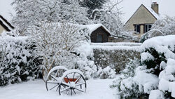 Neige Hiver Jardin Mioulane NewsJardinTV NPM 2607528471