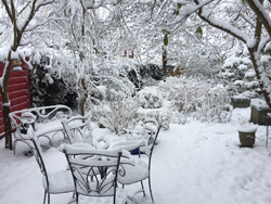 Jardin Hiver Neige Mioulane NewsJardinTV Jardimiou IMG 4383