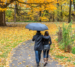 Pluie Automne Personnages Flora
