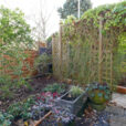 Jardin Hiver Mioulane NewsJardinTV NPM 2507528187