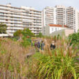 Jardin Ville Courbevoie Mioulane NewsJardinTV NPM 2707522527