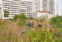 Jardin Ville Courbevoie Mioulane NewsJardinTV NPM 2707522527