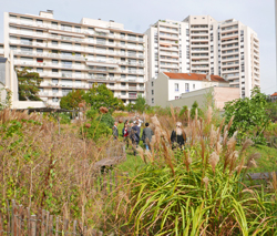 Jardin Ville Courbevoie Mioulane NewsJardinTV NPM 2707522527
