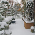 Neige Jardin Mioulane NewsJardinTV NPM 2607524307