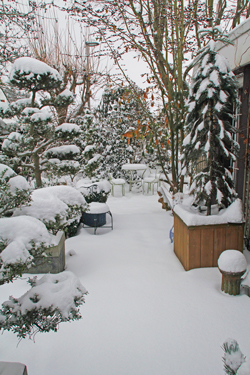Neige Jardin Mioulane NewsJardinTV NPM 2607524307