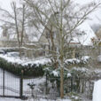 Neige Jardin Portail Mioulane NewsJardinTV Jardimiou DSC2990