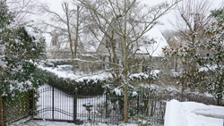 Neige Jardin Portail Mioulane NewsJardinTV Jardimiou DSC2990