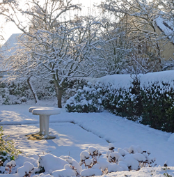 Soleil hiver Neige Mioulane NewsJardinTV NPM 2607528491